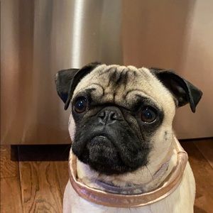 Meet your Posher, Chris